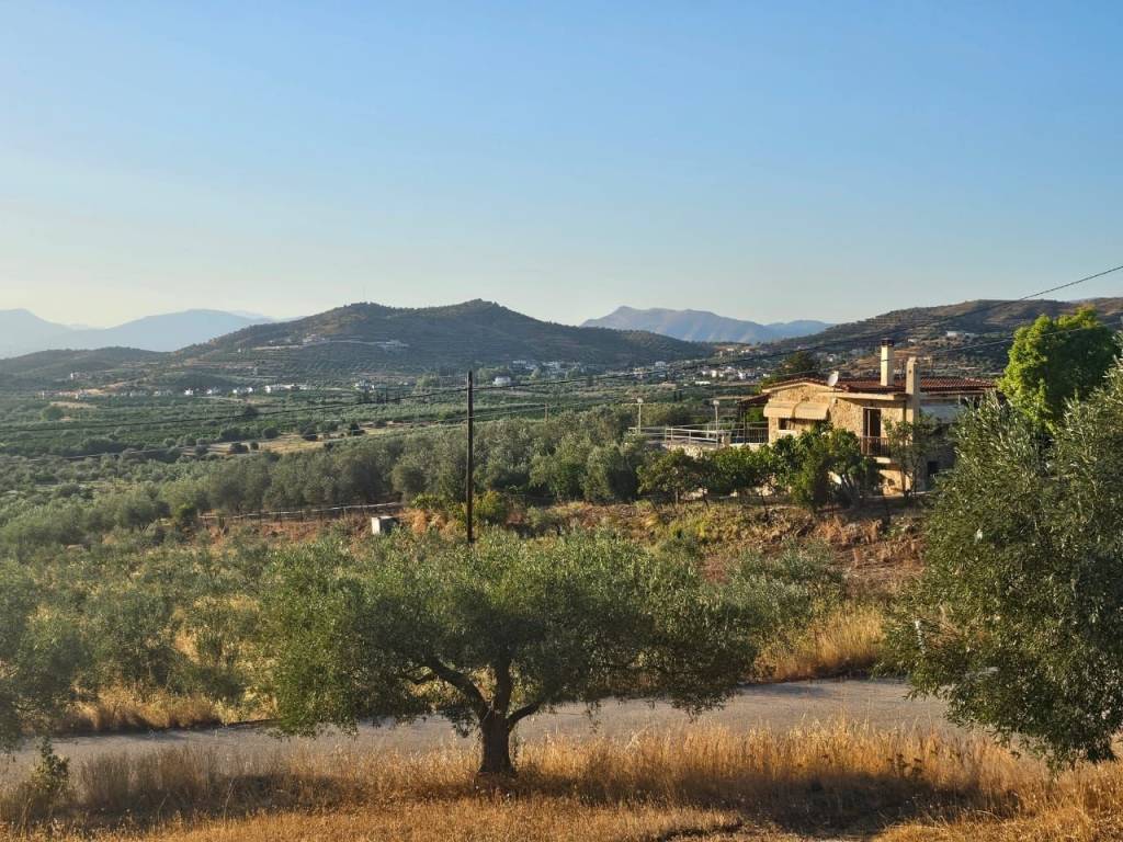 prime and buildable plot of land