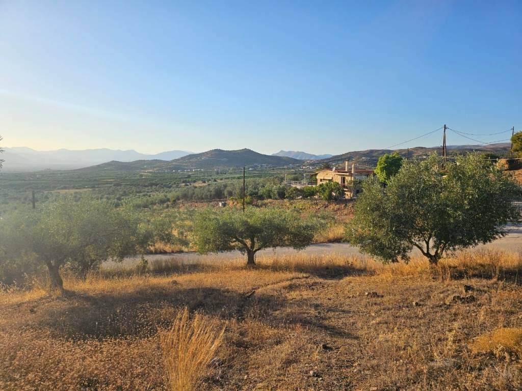 prime and buildable plot of land