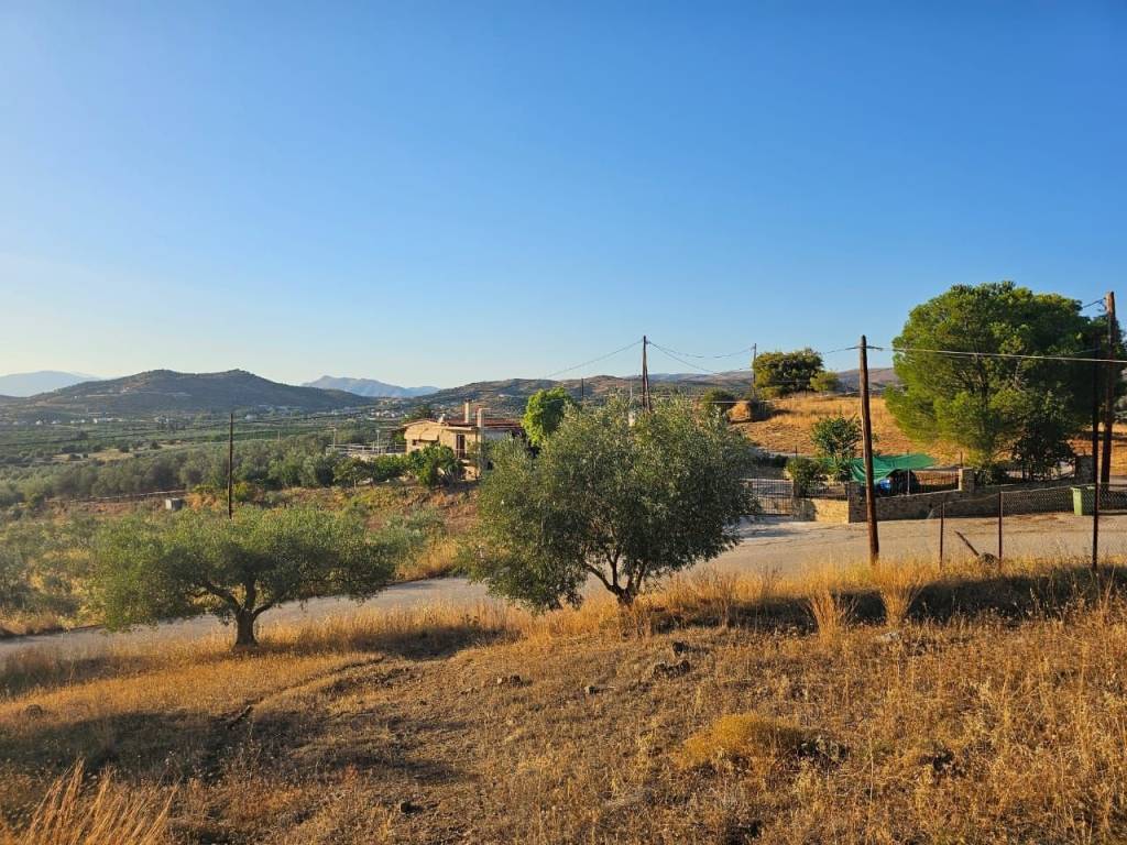 prime and buildable plot of land