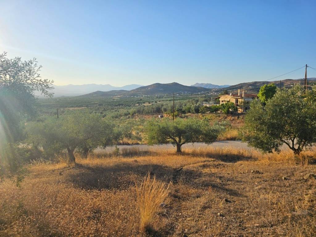 prime and buildable plot of land