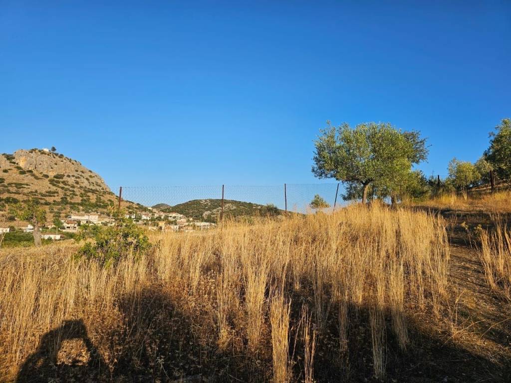 prime and buildable plot of land