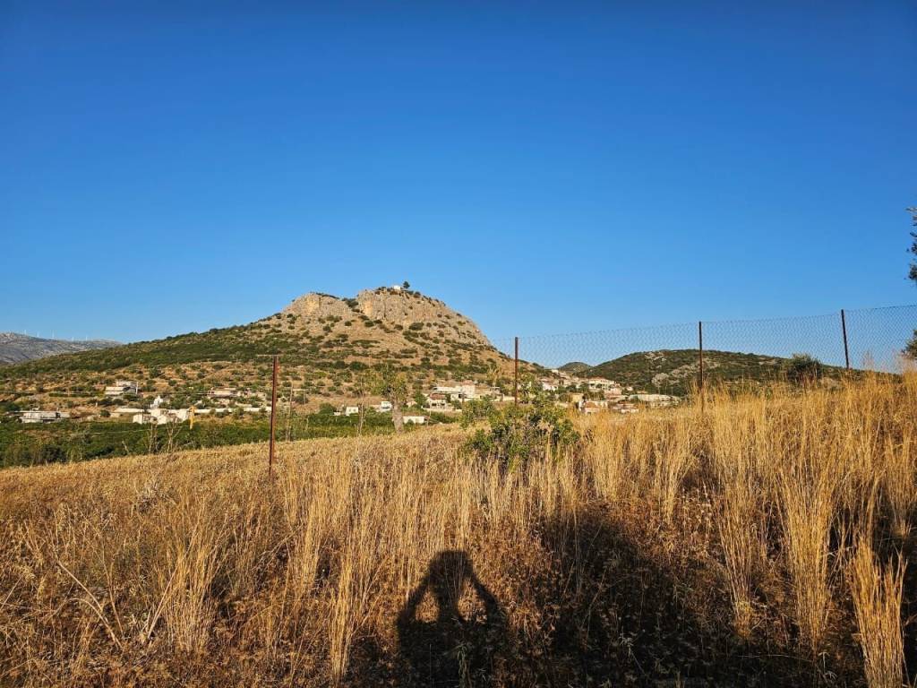 prime and buildable plot of land