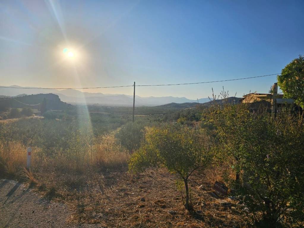 prime and buildable plot of land