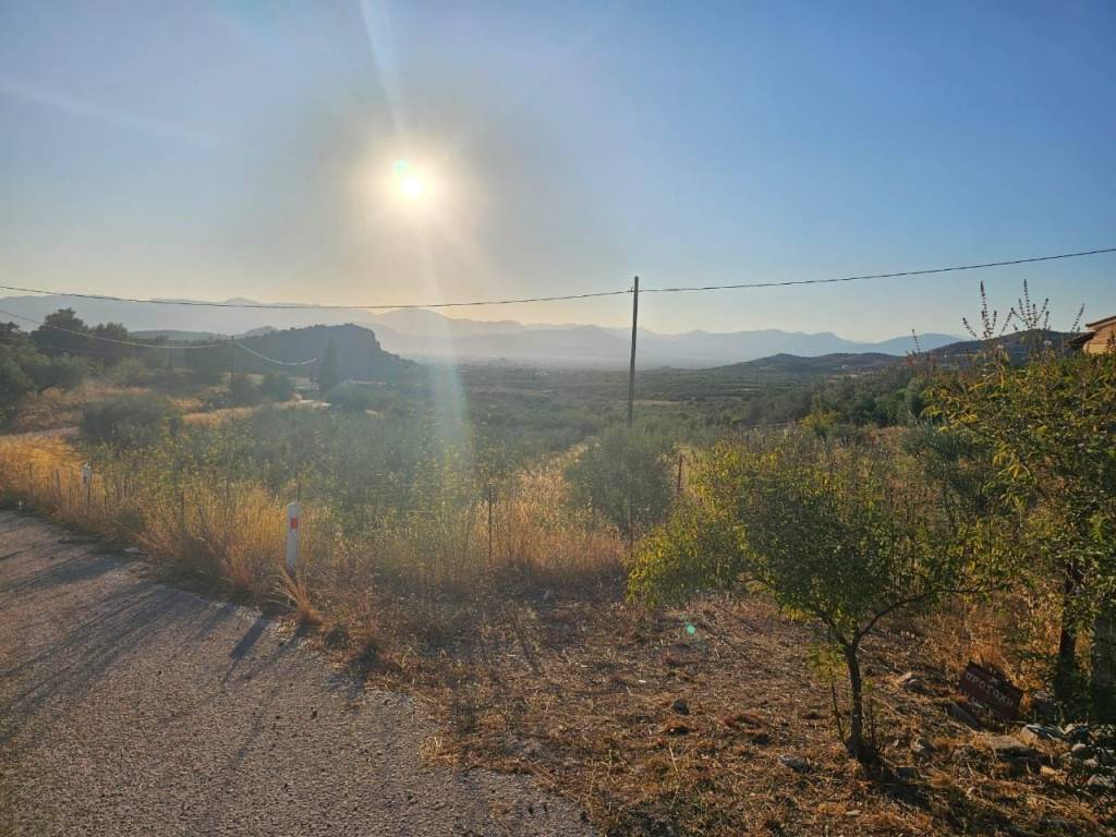 prime and buildable plot of land