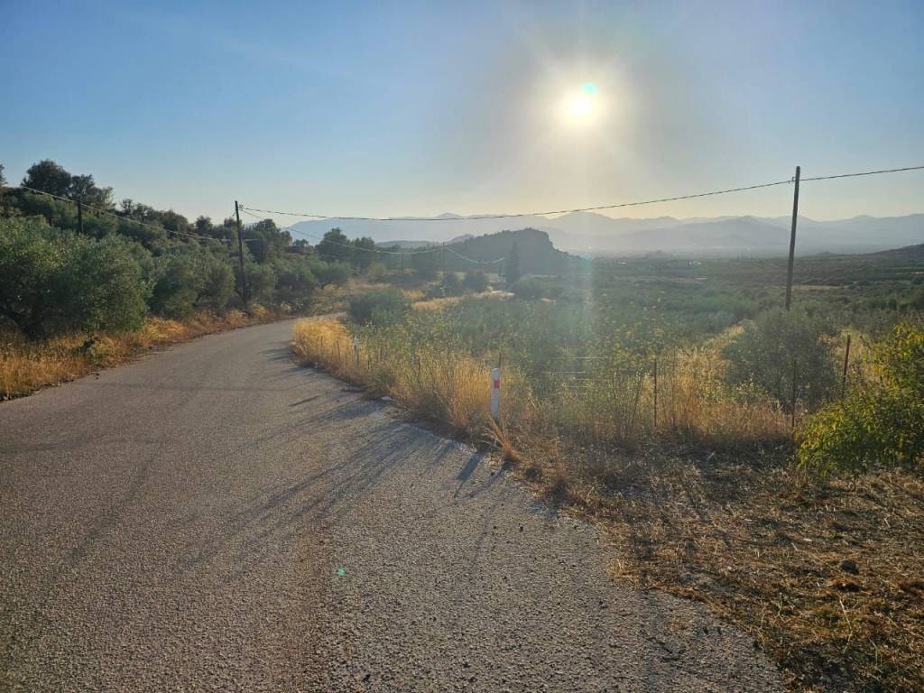 prime and buildable plot of land