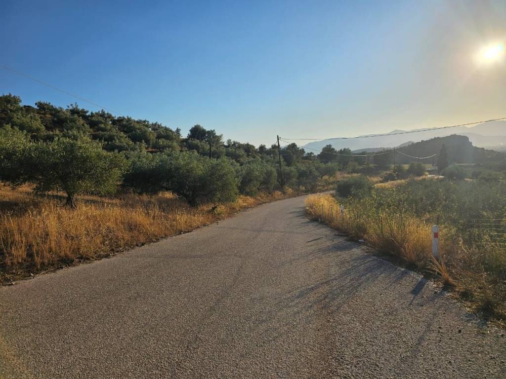 prime and buildable plot of land