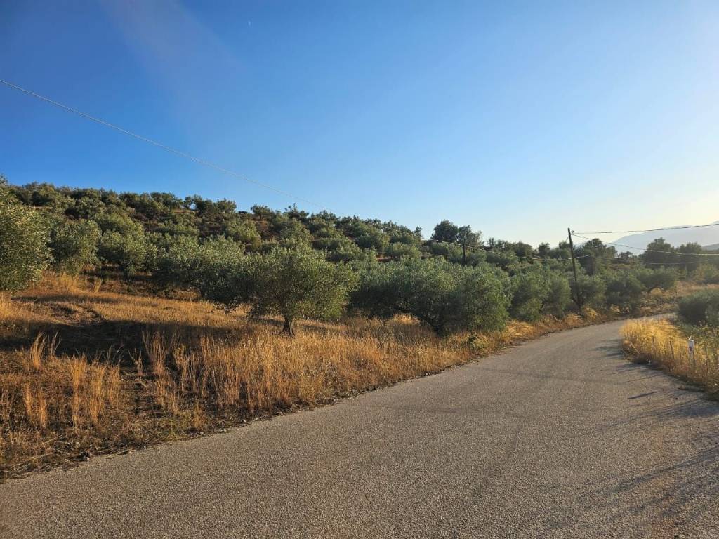 prime and buildable plot of land