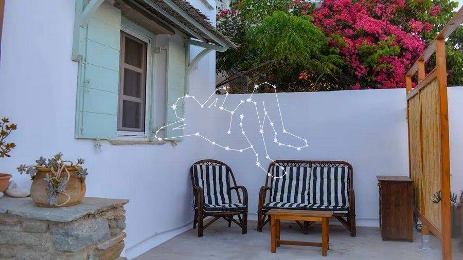 Λεπτομέρεια από τον κήπο