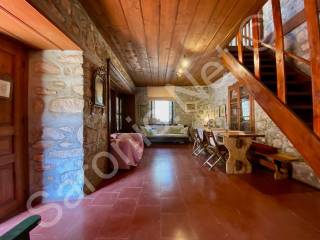 Mid-level living room