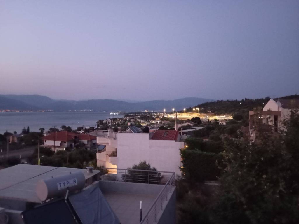 THea sta diodia Rioy