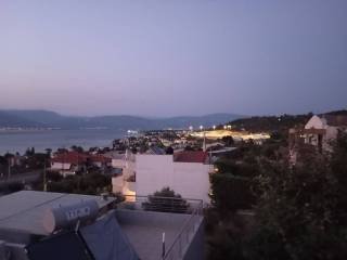 THea sta diodia Rioy