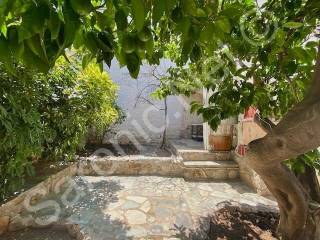 Under the fruit trees at the back of the garden