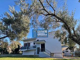 ★ Οικόπεδο 600 τ.μ. ★ Ήσυχη περιοχή ★ Μεγάλη αυλή και bbq ★