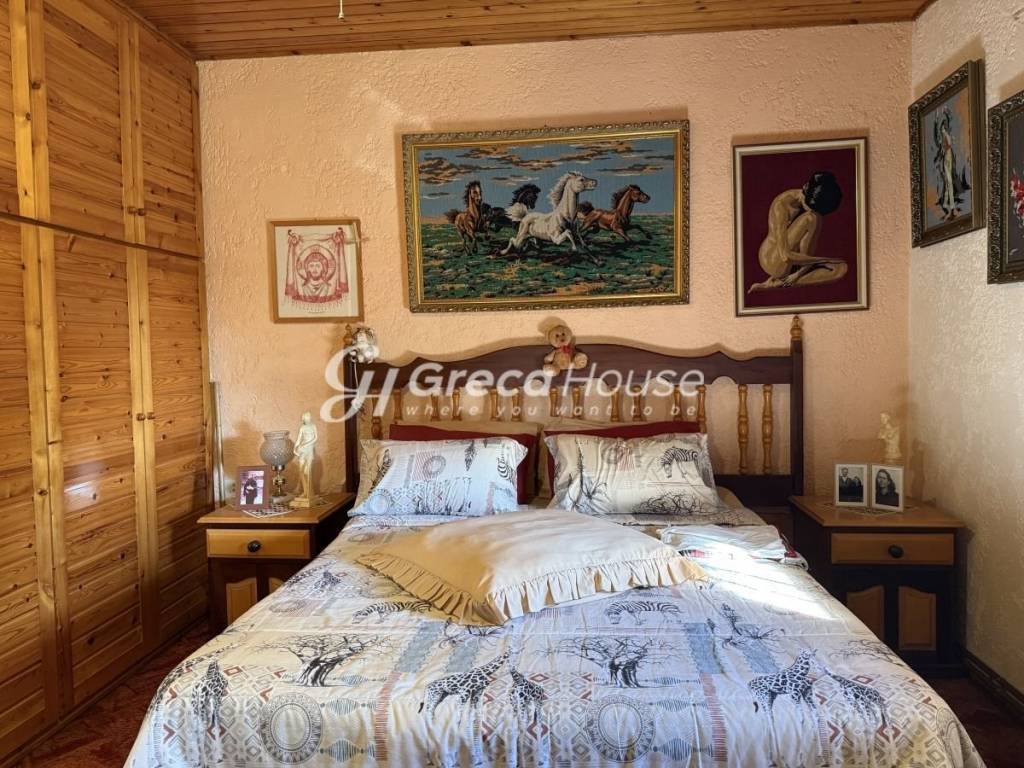 Μονοκατοικία προς πώληση Αμαλιάδα