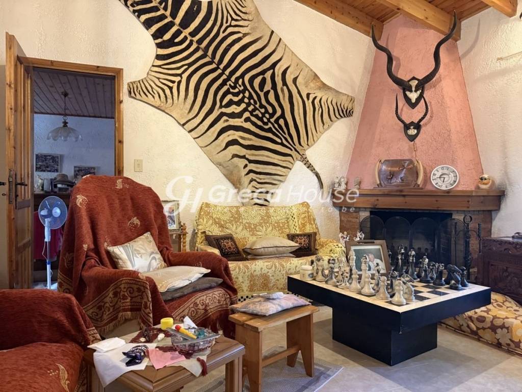 Μονοκατοικία προς πώληση Αμαλιάδα