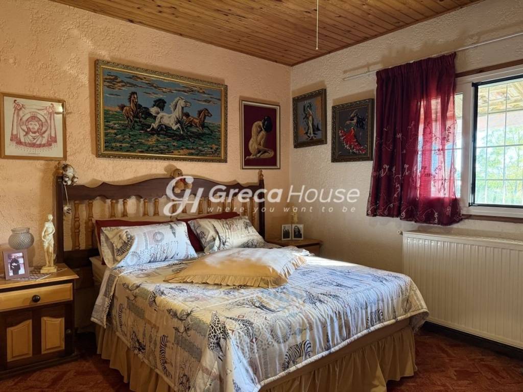 Μονοκατοικία προς πώληση Αμαλιάδα