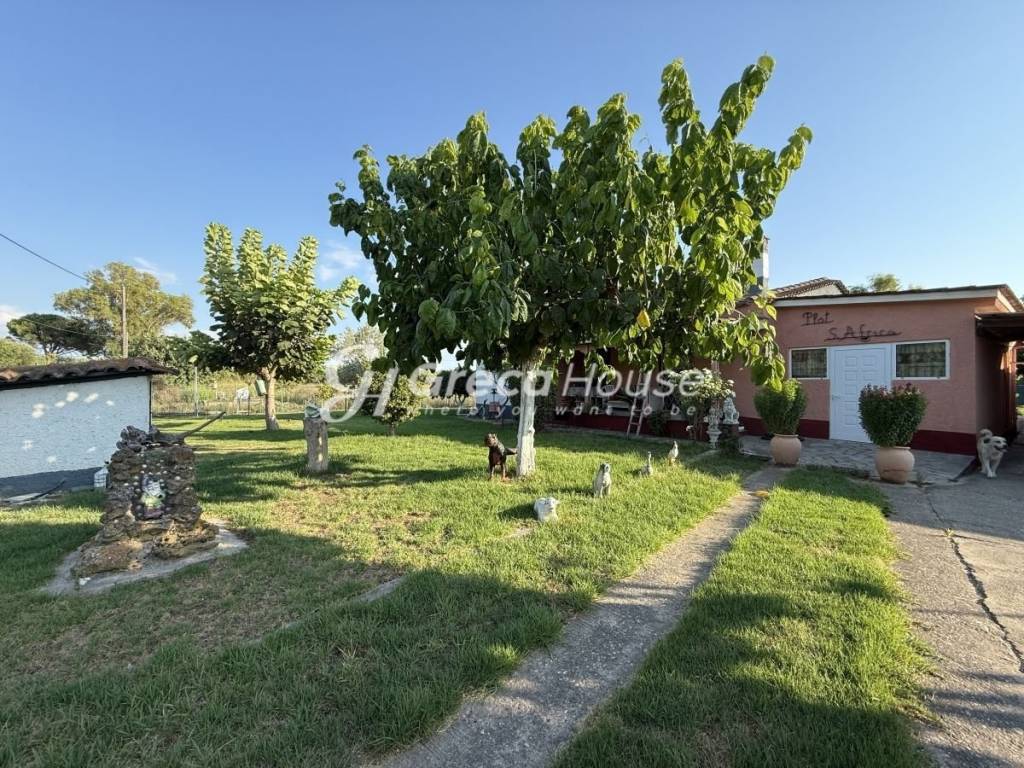 Μονοκατοικία προς πώληση Αμαλιάδα