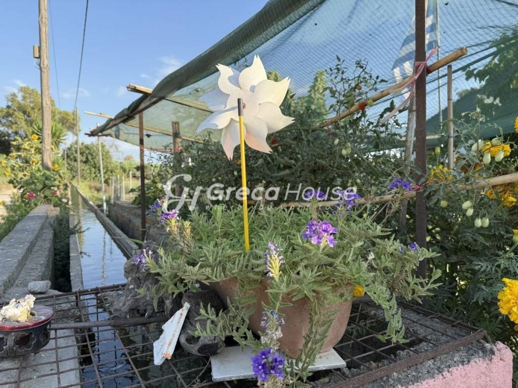 Μονοκατοικία προς πώληση Αμαλιάδα