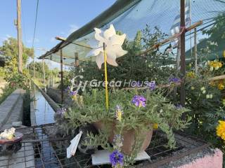 Μονοκατοικία προς πώληση Αμαλιάδα