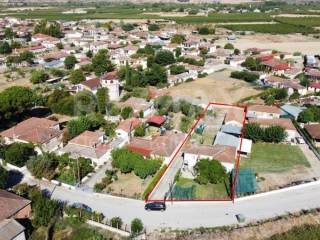 Ύπαρξη ανθρώπου