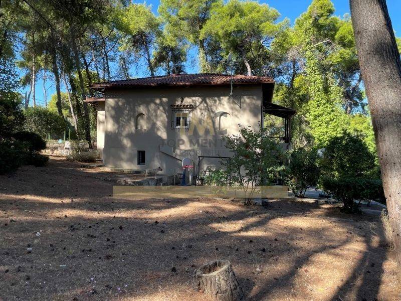 Ύπαρξη ανθρώπου