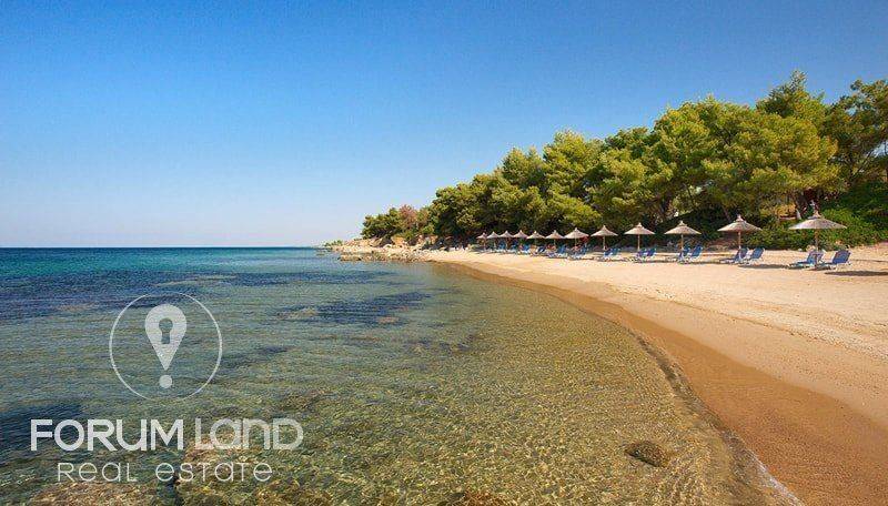 Forumland Real Estate, Metamorfosi