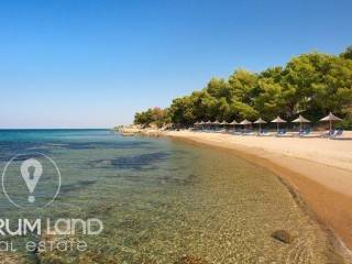 Forumland Real Estate, Metamorfosi