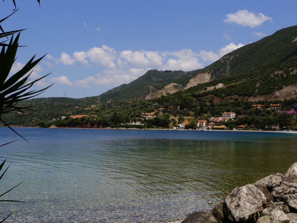 LIGA BEMATA APO TEN KATOIKIA APLONETAI E PARALIA