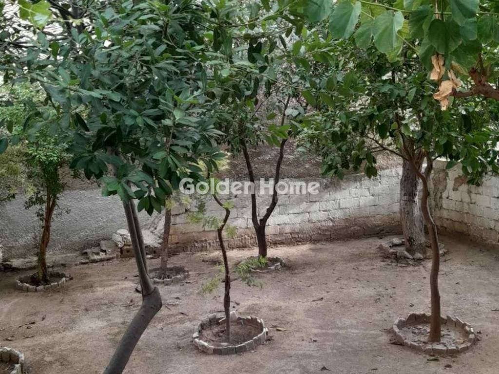 Εξωτερικός Χώρος