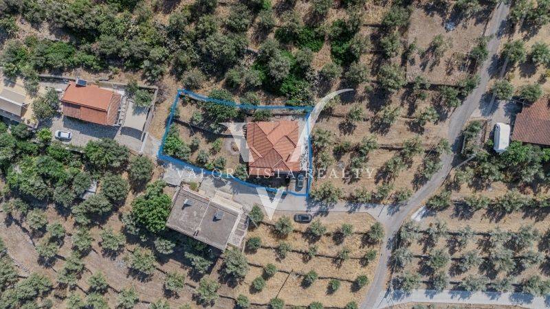 Ύπαρξη ανθρώπου