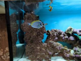 Apartment - Grekodom 64042|1008959