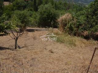 ΑΠΟΨΗ ΟΙΚΟΠΕΔΟΥ