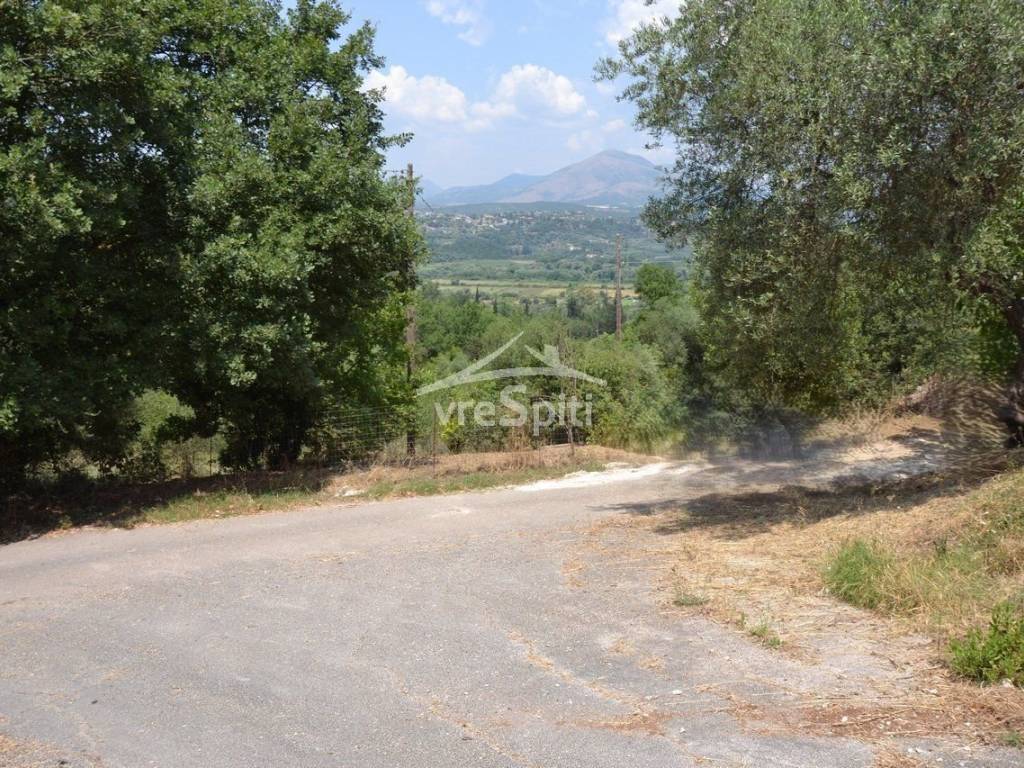 ΑΠΟΨΗ ΟΙΚΟΠΕΔΟΥ