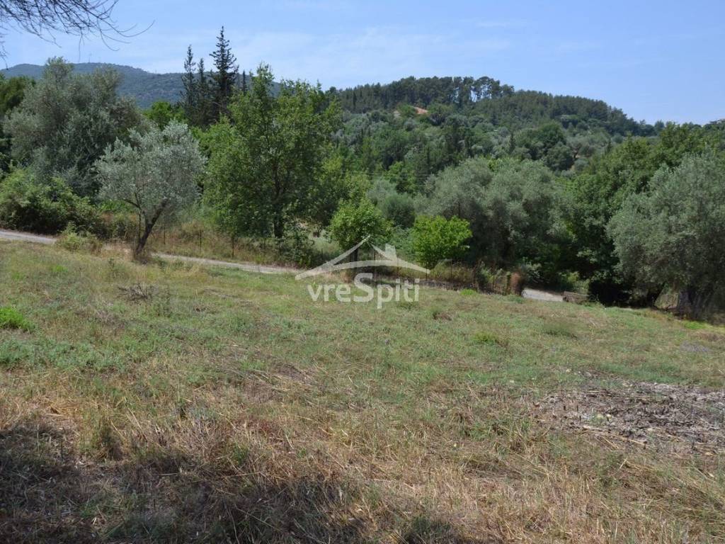 ΑΠΟΨΗ ΟΙΚΟΠΕΔΟΥ