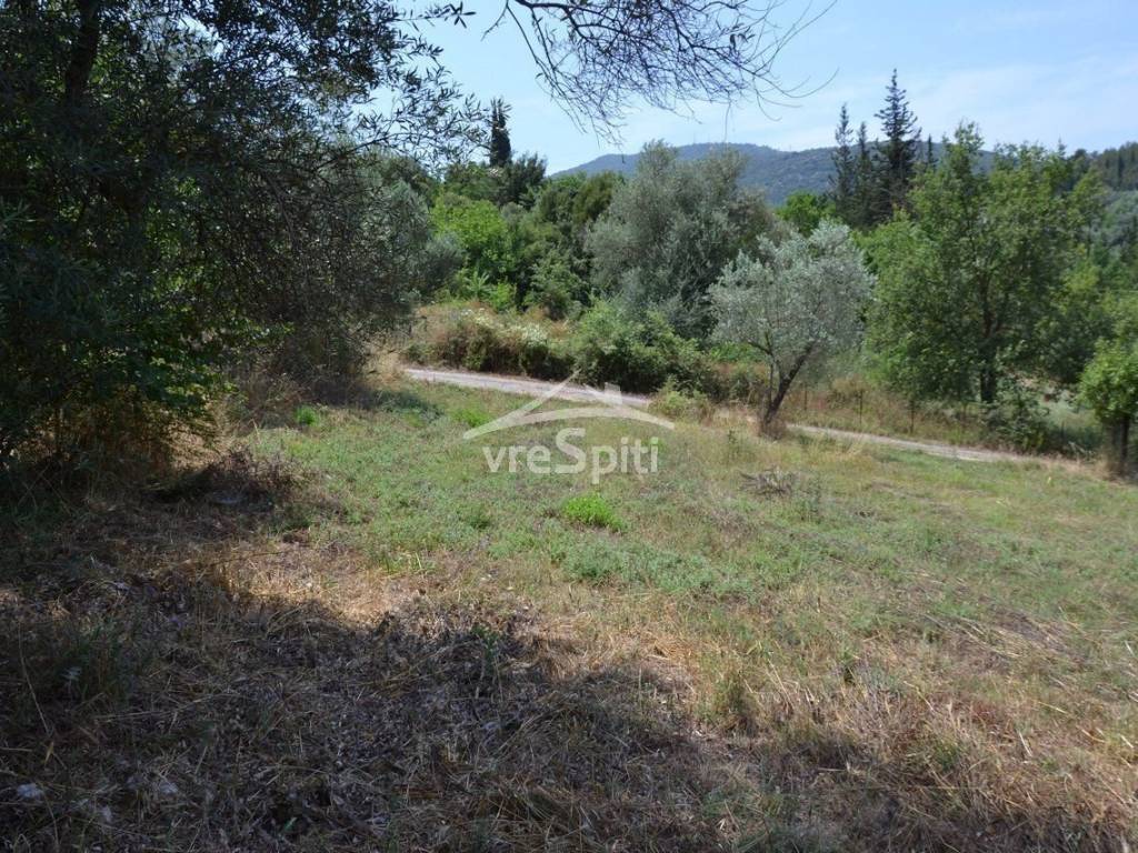 ΑΠΟΨΗ ΟΙΚΟΠΕΔΟΥ