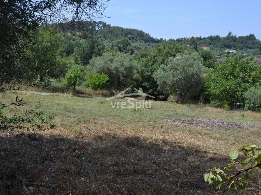 ΑΠΟΨΗ ΟΙΚΟΠΕΔΟΥ