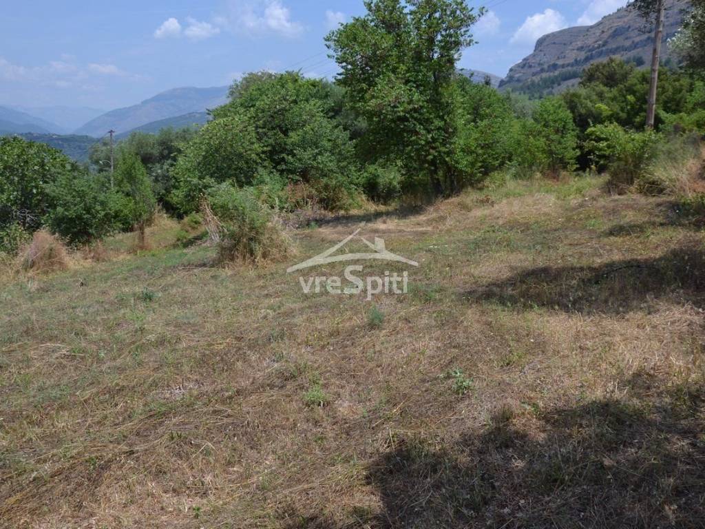 ΑΠΟΨΗ ΟΙΚΟΠΕΔΟΥ