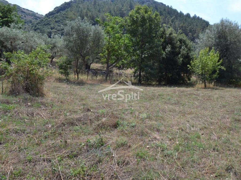 ΑΠΟΨΗ ΟΙΚΟΠΕΔΟΥ