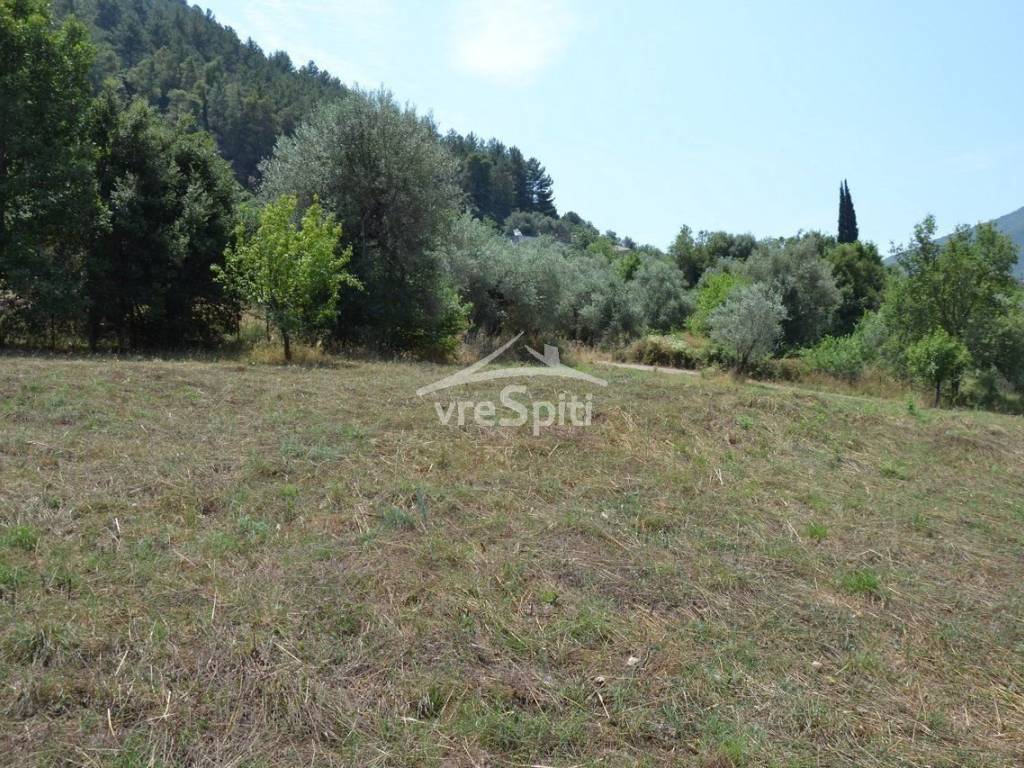 ΑΠΟΨΗ ΟΙΚΟΠΕΔΟΥ