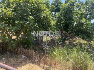 Ύπαρξη ανθρώπου