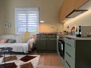 καθιστικό -κουζίνα