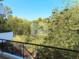 VIEW FROM THE BACK VERANDA