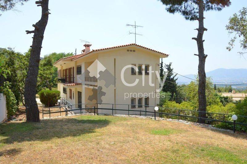 Εξωτερικός χώρος