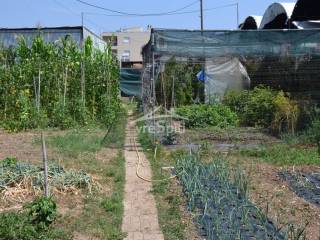 ΑΠΟΨΗ ΟΙΚΟΠΕΔΟΥ