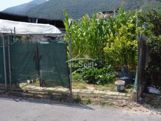 ΑΠΟΨΗ ΟΙΚΟΠΕΔΟΥ