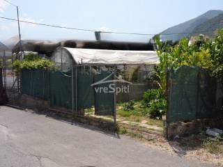 ΑΠΟΨΗ ΟΙΚΟΠΕΔΟΥ