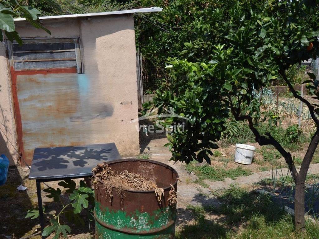 ΑΠΟΨΗ ΟΙΚΟΠΕΔΟΥ