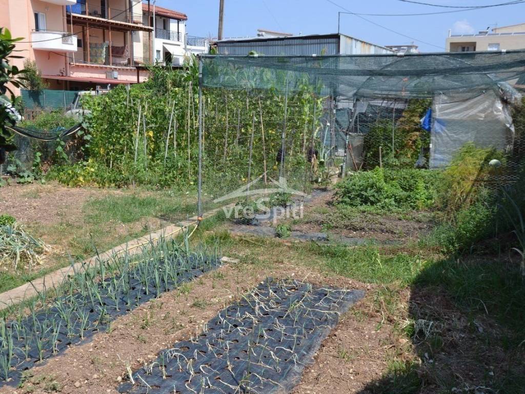 ΑΠΟΨΗ ΟΙΚΟΠΕΔΟΥ