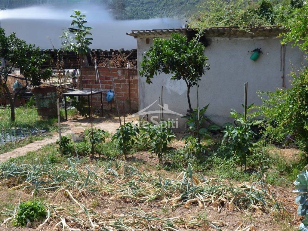 ΑΠΟΨΗ ΟΙΚΟΠΕΔΟΥ