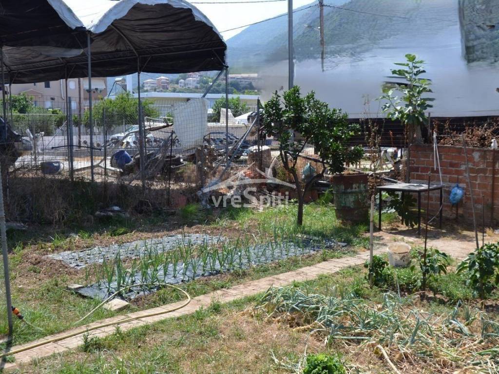 ΑΠΟΨΗ ΟΙΚΟΠΕΔΟΥ